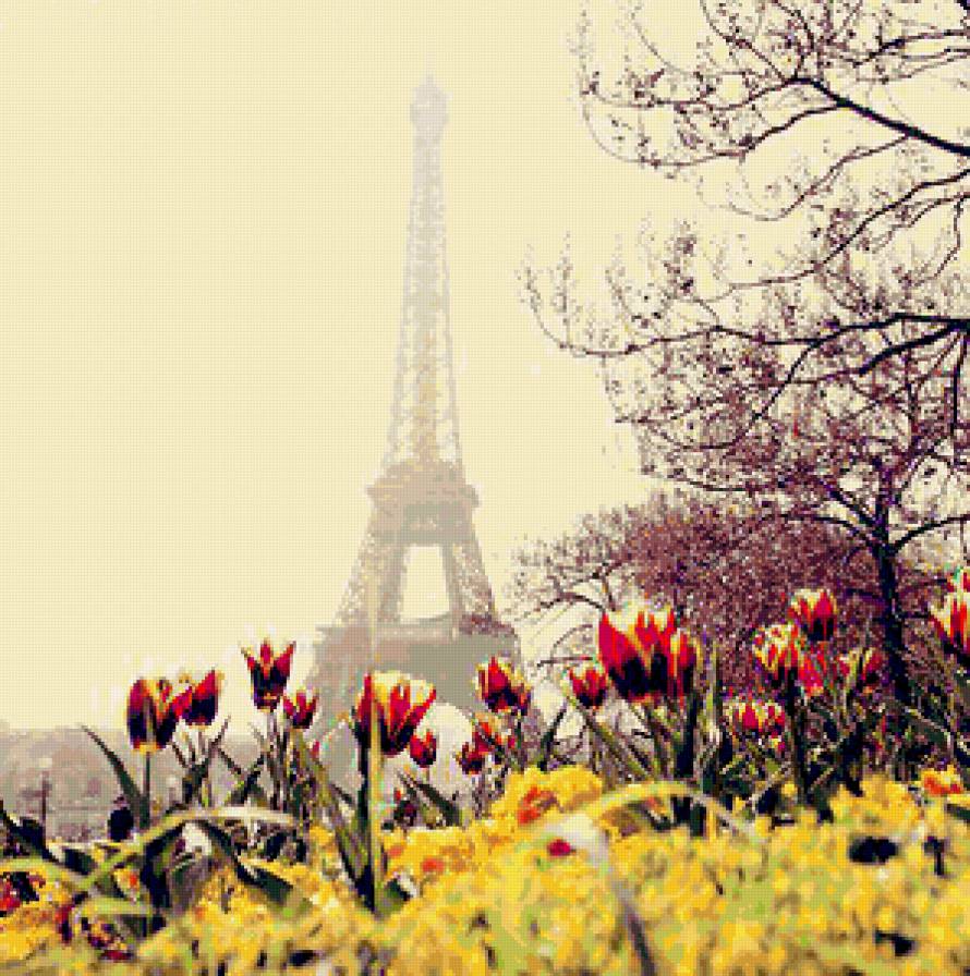 Тюльпаны и Эйфелева башня - франция, небо, тюльпаны, эйфелева башня, париж - предпросмотр