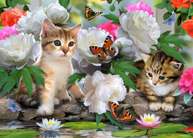 котики в цветах - котята, кошка, цветы, животные, кошки, котик, коты, котенок - оригинал