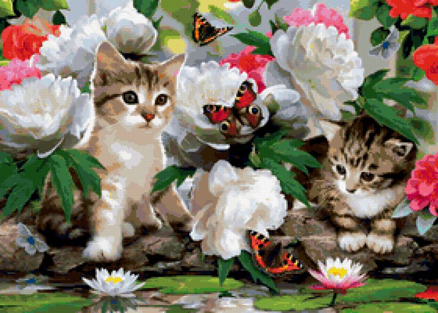 котики в цветах - котята, котик, животные, цветы, котенок, коты, кошки, кошка - предпросмотр