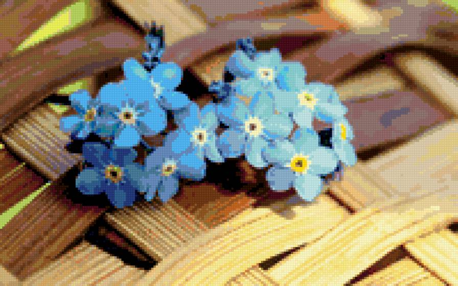 Синие цветочки - цветы - предпросмотр