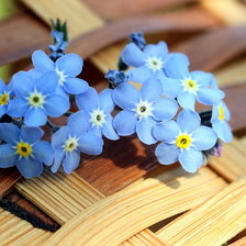 Схема вышивки «Синие цветочки»