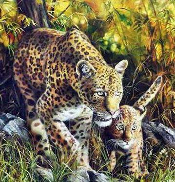 ягуары - картина, ягуар, животные, фауна, природа - оригинал