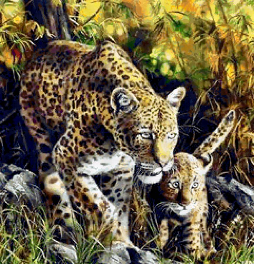 ягуары - природа, ягуар, животные, фауна, картина - предпросмотр