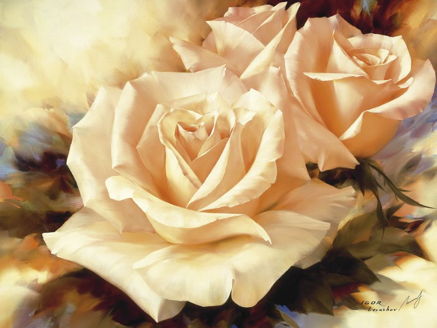 Чайные розы - цветы, нежность, роза - оригинал