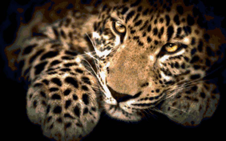 леопард - леопарды, хищники, кошки, животные - предпросмотр