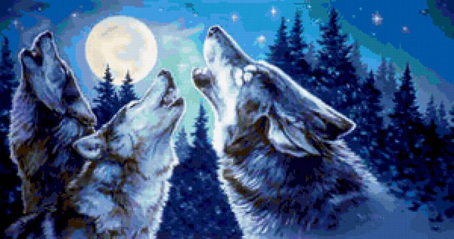 Лунные волки - хищник, волки, животные, волк - предпросмотр