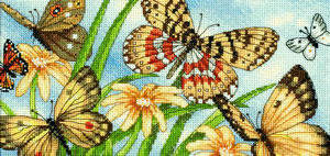 бабочки - природа, цветок, цветы, пейзаж, бабочки - оригинал