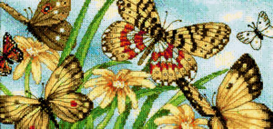 бабочки - пейзаж, цветы, бабочки, цветок, природа - предпросмотр