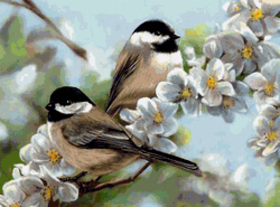 птицы - картина, птицы.весна, фауна, животные, природа - предпросмотр