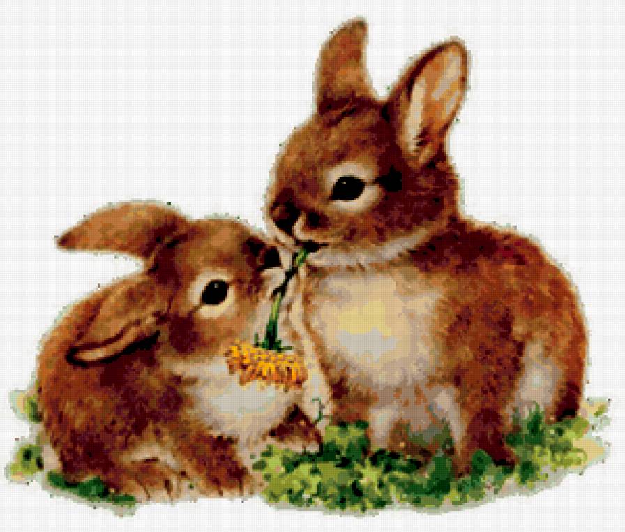 Кролики - кролик, заяц, цветок - предпросмотр