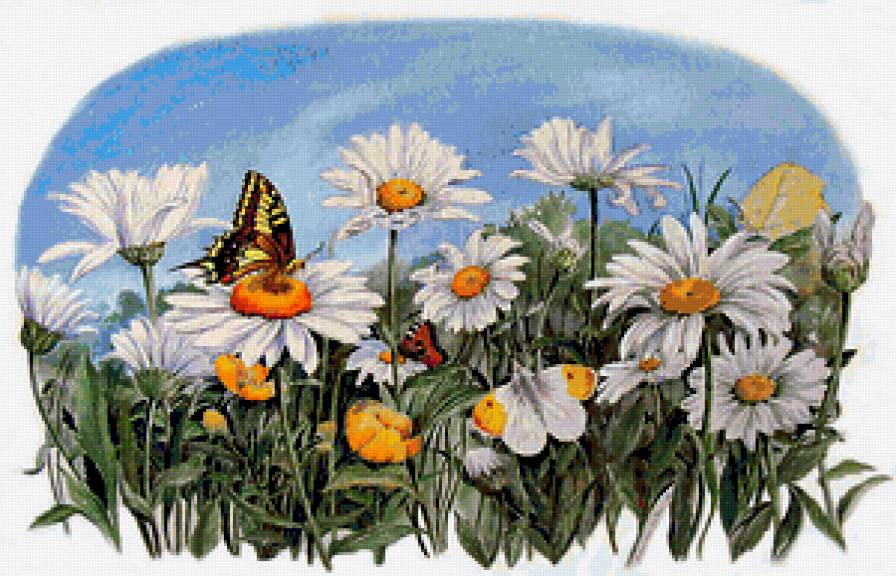 ромашковое поле - цветы, пейзаж, природа, бабочки, цветок, ромашки - предпросмотр