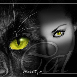 Глаза - девушка, глаза, кот, взгляд, черное - оригинал