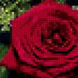 Предпросмотр схемы вышивки «Букет красных роз» (№228297)