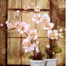 Оригинал схемы вышивки «orchidea» (№228330)