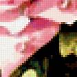 Предпросмотр схемы вышивки «Цветы в корзине» (№228528)