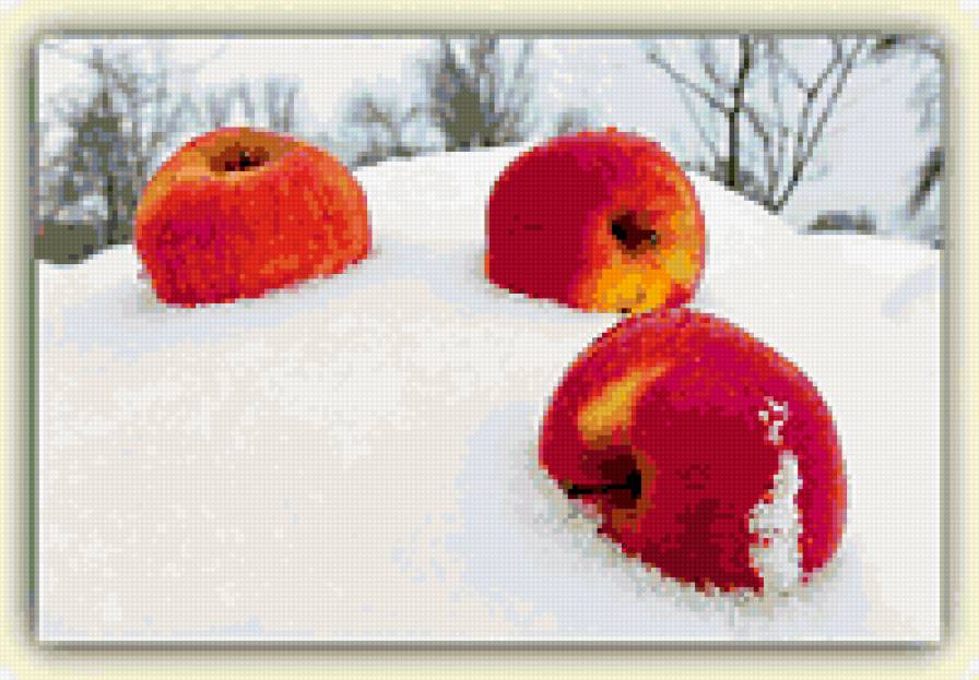 Яблоки на снегу - зима, натюрморт, яблоки - предпросмотр