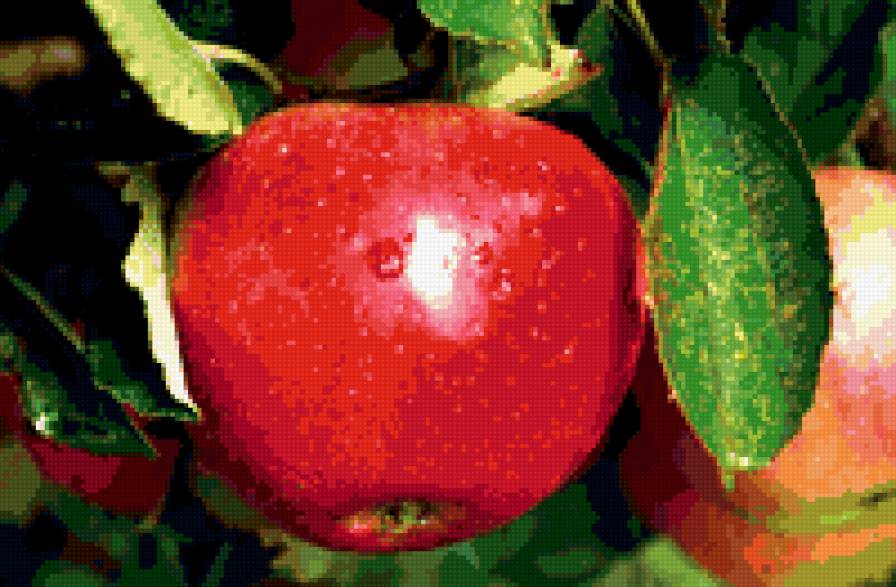яблоко - предпросмотр