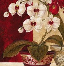 Оригинал схемы вышивки «orchidea» (№229346)