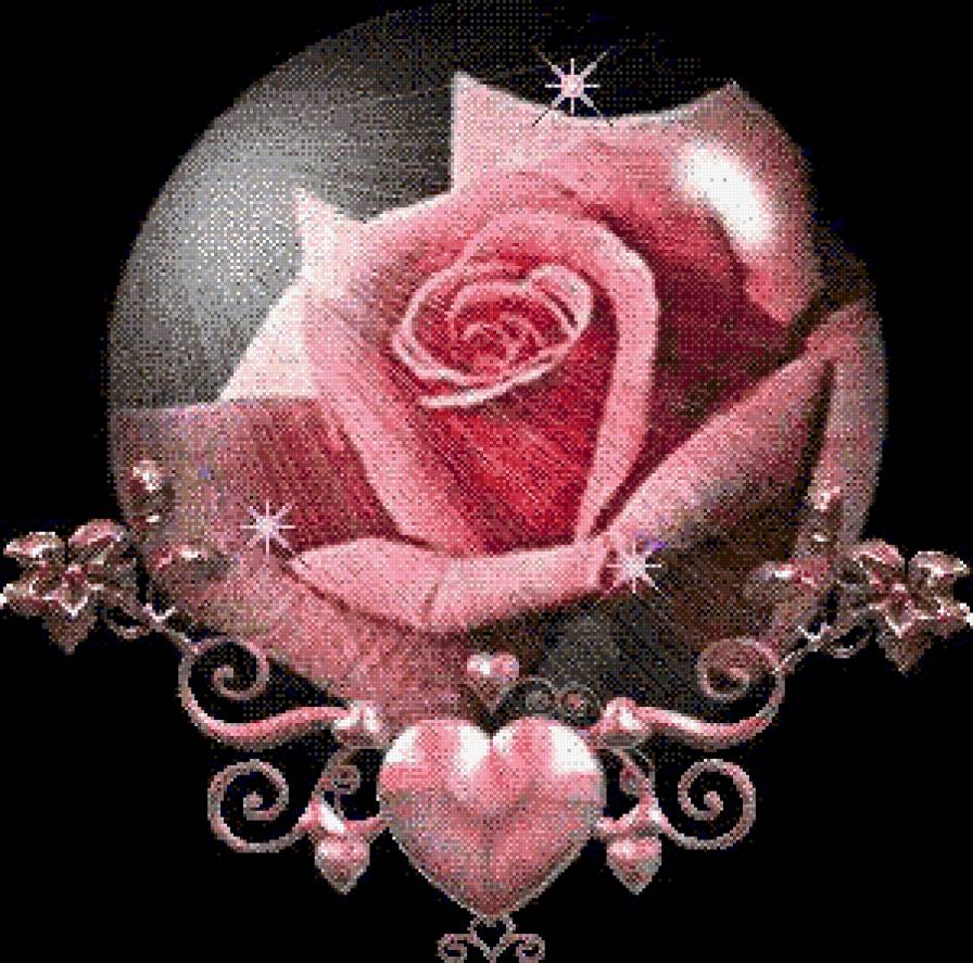 Чудная роза - розы, цветы, романтика, роза, натюрморт, розовые цветы, букет - предпросмотр