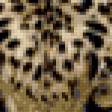 Предпросмотр схемы вышивки «леопард» (№229466)