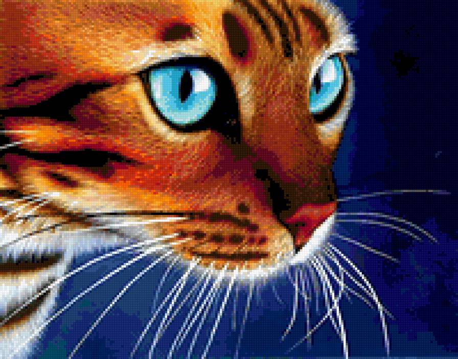 кошка - кошка, голубые глаза - предпросмотр