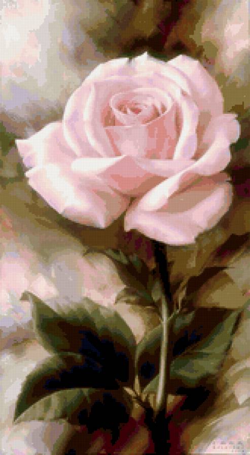 нежность и очарование - картина, цветы, розы - предпросмотр