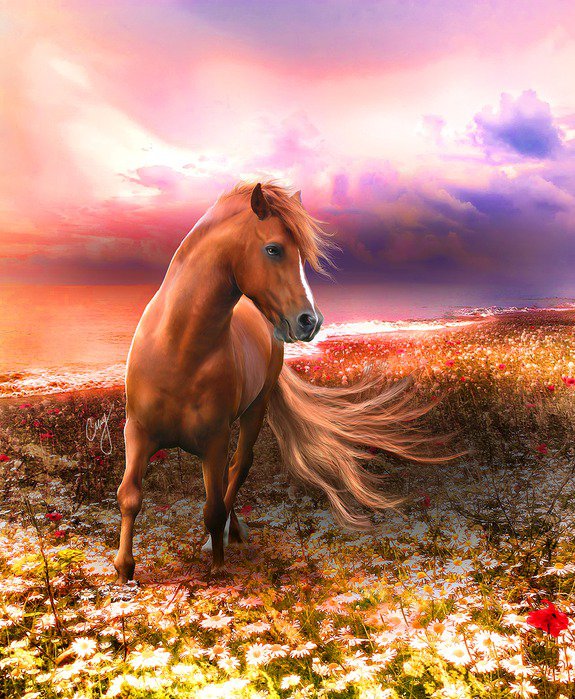 Лошадь на закате - закат, конь, лошадь - оригинал