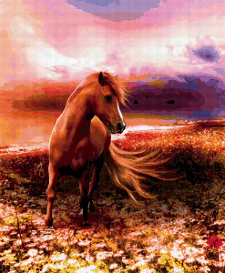 Лошадь на закате - закат, конь, лошадь - предпросмотр