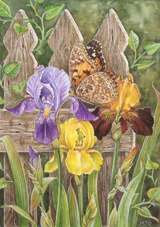 Martin Ryan - бабочка, ирисы, цветы - оригинал