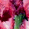 Предпросмотр схемы вышивки «цветы» (№230952)