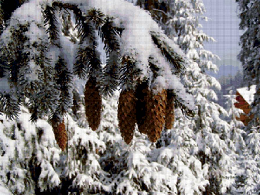 ЕЛОВАЯ ВЕТКА - елка, шишки, времена года, зима, снег - предпросмотр