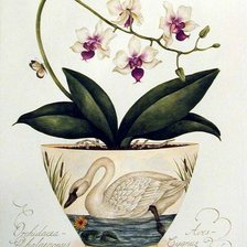 Оригинал схемы вышивки «Серия "Орхидеи"» (№231403)