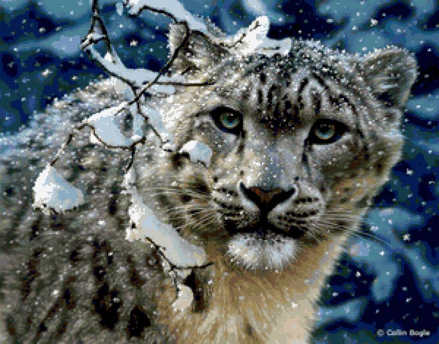 Снежный барс - животные, дикие кошки, природа - предпросмотр