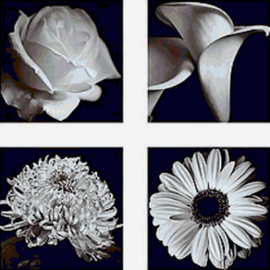 Полиптих монохром - полиптих, цветы, роза, монохром, черно-белое, ромашки, триптих - предпросмотр