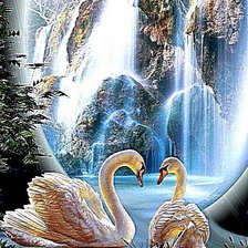 Лебеди у водопада
