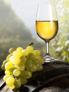Вино и виноград - вино, виноград - оригинал