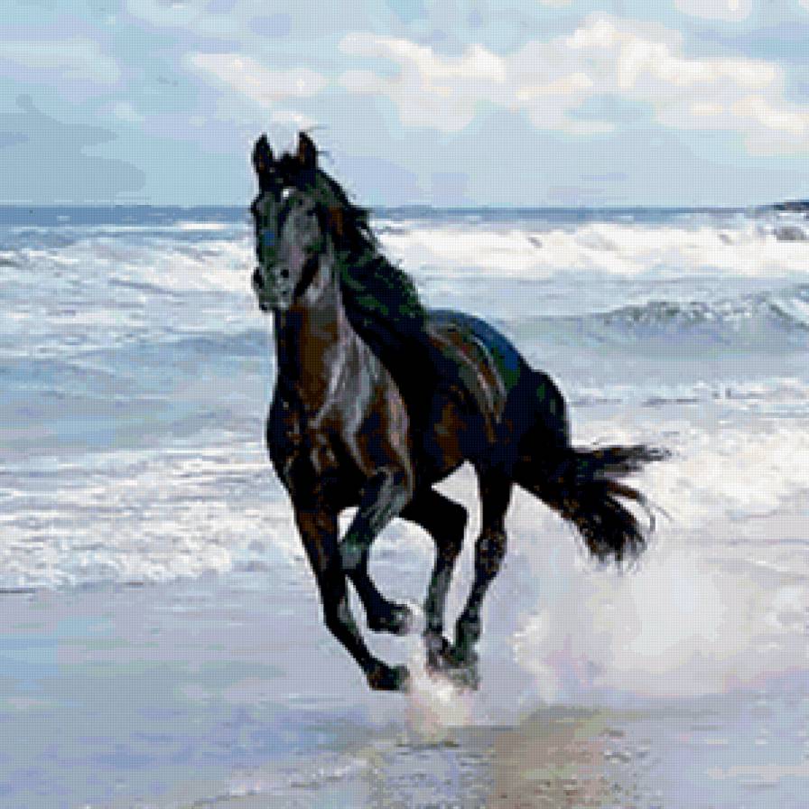 Бегущая лошадь - красота, лошадь, животные - предпросмотр