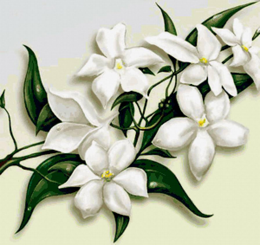Белые цветы - веточка, цветы, весна - предпросмотр
