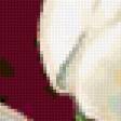 Предпросмотр схемы вышивки «Белые тюльпаны ч.1» (№232891)