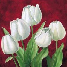 Оригинал схемы вышивки «Белые тюльпаны ч.2» (№232895)
