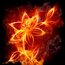 Оригинал схемы вышивки «огненый цветок» (№233258)