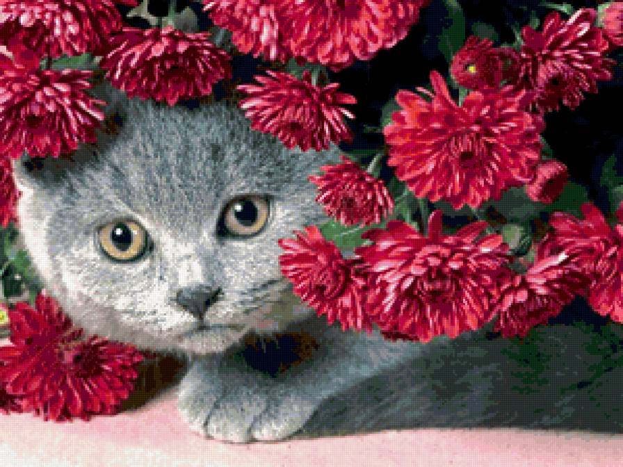 кошка в цветах - кошки, животные - предпросмотр