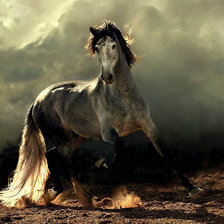 Схема вышивки «Арабская лошадь»