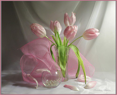 нежность - цветы, нежность, тюльпаны, весна, букет - оригинал