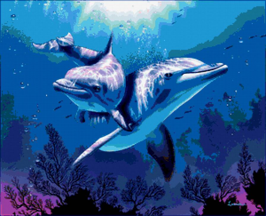 Дельфины - животные - предпросмотр