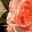 Предпросмотр схемы вышивки «Натюрморт с розами 2» (№234787)