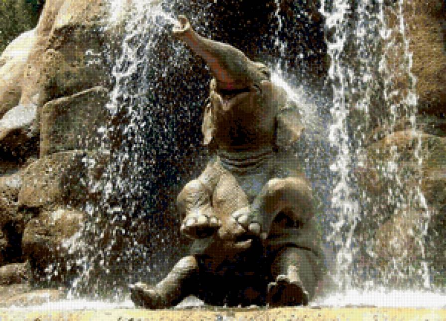 Утренний душ - слон - предпросмотр