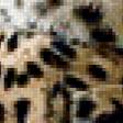 Предпросмотр схемы вышивки «Леопарды» (№235141)