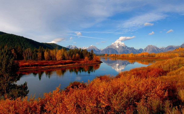 Осенний пейзаж - пейзаж, река, осень, лес - оригинал
