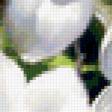 Предпросмотр схемы вышивки «цветы» (№235471)